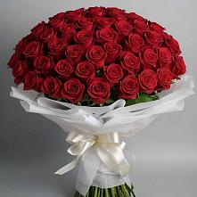 Букет 101 Красная роза Блэк Мэджик в Рязани