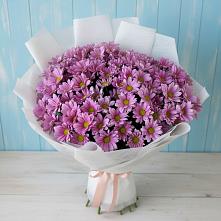 Букет цветов из:  Хризантемы в Рязани