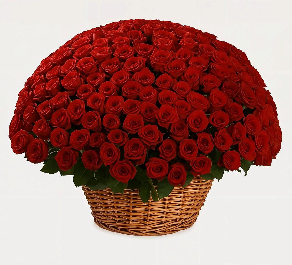 Премиум букет из: Розы в Рязани