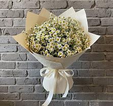 Букет цветов из:  Ромашки #REPLACE_PRED# Рязани