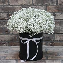 Цветочная композиция из Гипсофила в шляпной коробке #REPLACE_PRED# Рязани