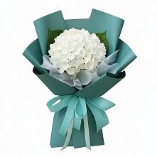 Букет цветов из:  Гортензия в Рязани
